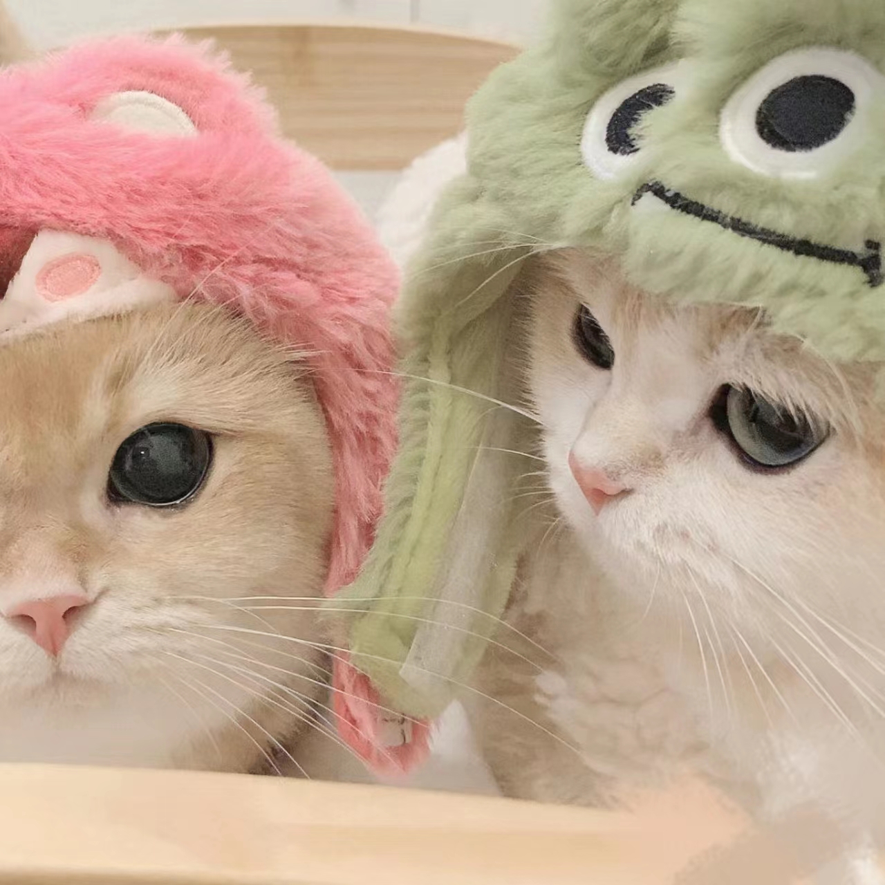 WWW,334se·COM网站APPAPP应用