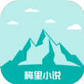 亚洲金品视频APP应用