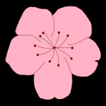 WWW,463se·COM网站APPAPP应用
