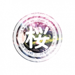 老司机“在线开车”网APP应用